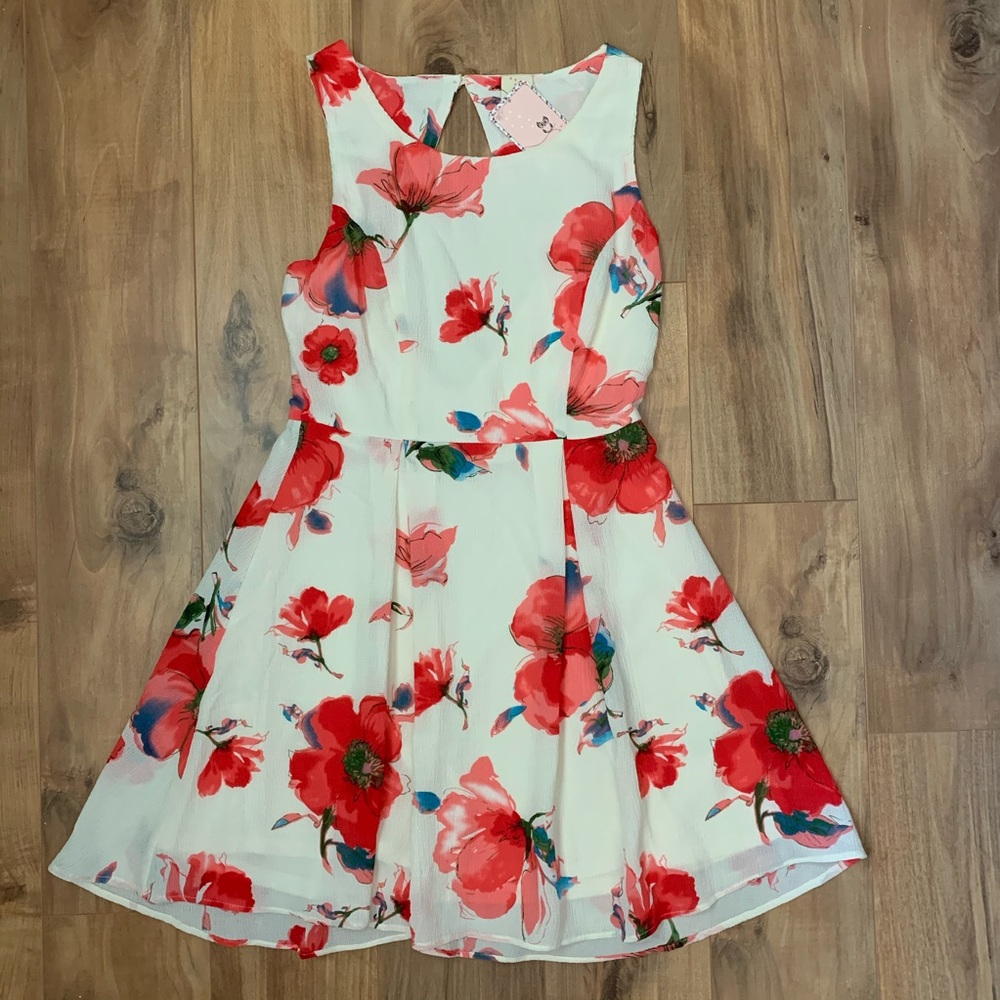 NWT MODCLOTH PINK OWL floral midi dress w lining